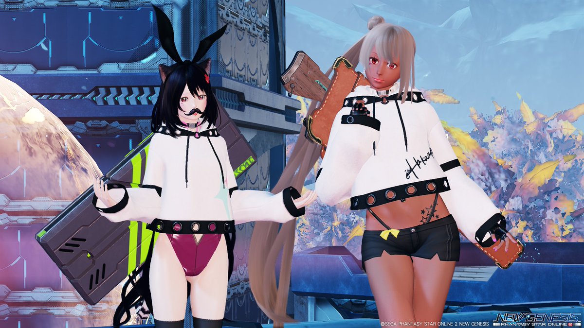 halcyon_pso2's tweet photo. 今日のぽんちゃん https://t.co/i7ne8h4qW0