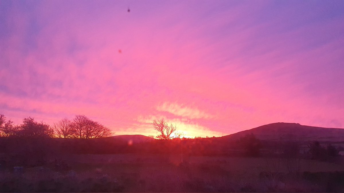 maripips1973's tweet photo. @DerekTheWeather @JoyceGervis A beautiful sunrise in the Preseli Hills this morning too. However, lots of wet shepherds here now! https://t.co/gbaIx0UH7M