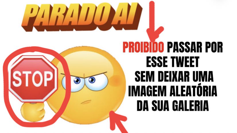 memes para pessoas desatentas tweet media