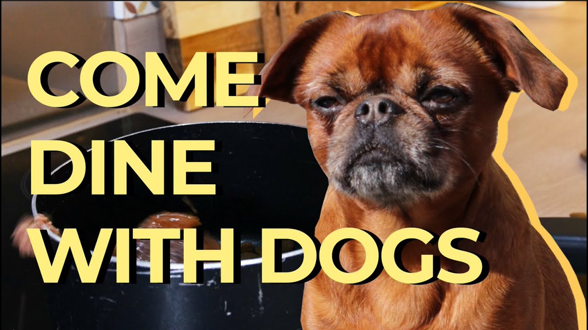 We hosted our very own Come Dine With Me 'Dogs Edition' 🐶 Tensions flared, food burnt and enemies were made! @Channel4 

youtube.com/watch?v=fvlKuI… 

#comedinewithme #dogs #Pugs