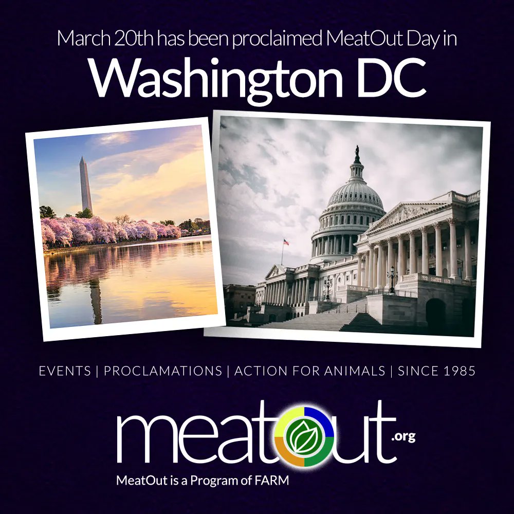 FARMUSA's tweet photo. 🎉🌱 Exciting news! Washington, D.C. just signed a proclamation declaring March 20th as #MeatoutDay! Join us in celebrating a healthier, greener, and kinder world 🌍💚🐮 Learn more at https://t.co/YvI3rk82Mo ! 🥗🍔 #MeatoutPlusOne #Meatout2023 🌿✨ https://t.co/oIzm733MxE