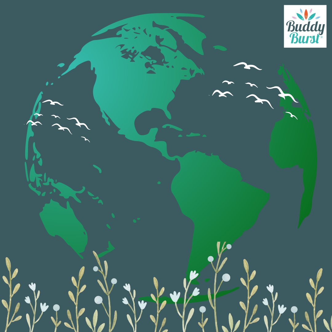 BuddyBurst's tweet photo. We are proud to be able to say that our website is carbon neutral.

If you have 10,000 page views a month, your carbon impact would be 553 Kilos per year; we have offset all of the carbon produced by our website. https://t.co/AvM4iNilfD