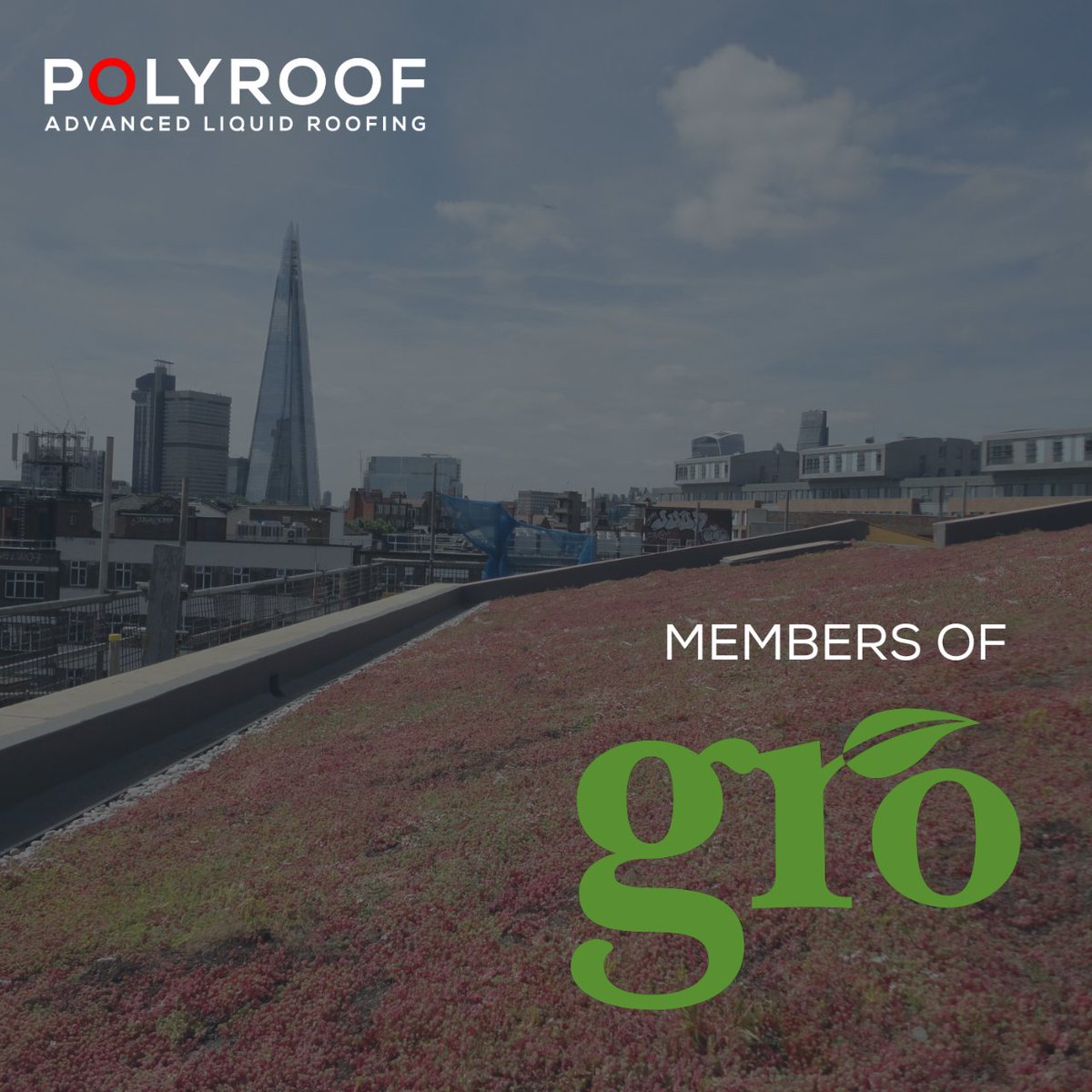 PolyroofLtd's tweet photo. We're thrilled to announce that we are now a member of The Green Roof Organisation (GRO) @RoofGro, an independent not-for-profit Trade Association representing the UK Green, Blue and BioSolar Roofing industries🌱
#Greenroof #GRO #Polyroof #Flatroofinguk #ukmanufacturing https://t.co/dPpIRwZutD