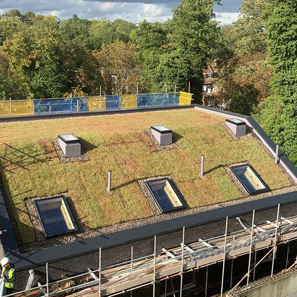 PolyroofLtd's tweet photo. We're thrilled to announce that we are now a member of The Green Roof Organisation (GRO) @RoofGro, an independent not-for-profit Trade Association representing the UK Green, Blue and BioSolar Roofing industries🌱
#Greenroof #GRO #Polyroof #Flatroofinguk #ukmanufacturing https://t.co/dPpIRwZutD