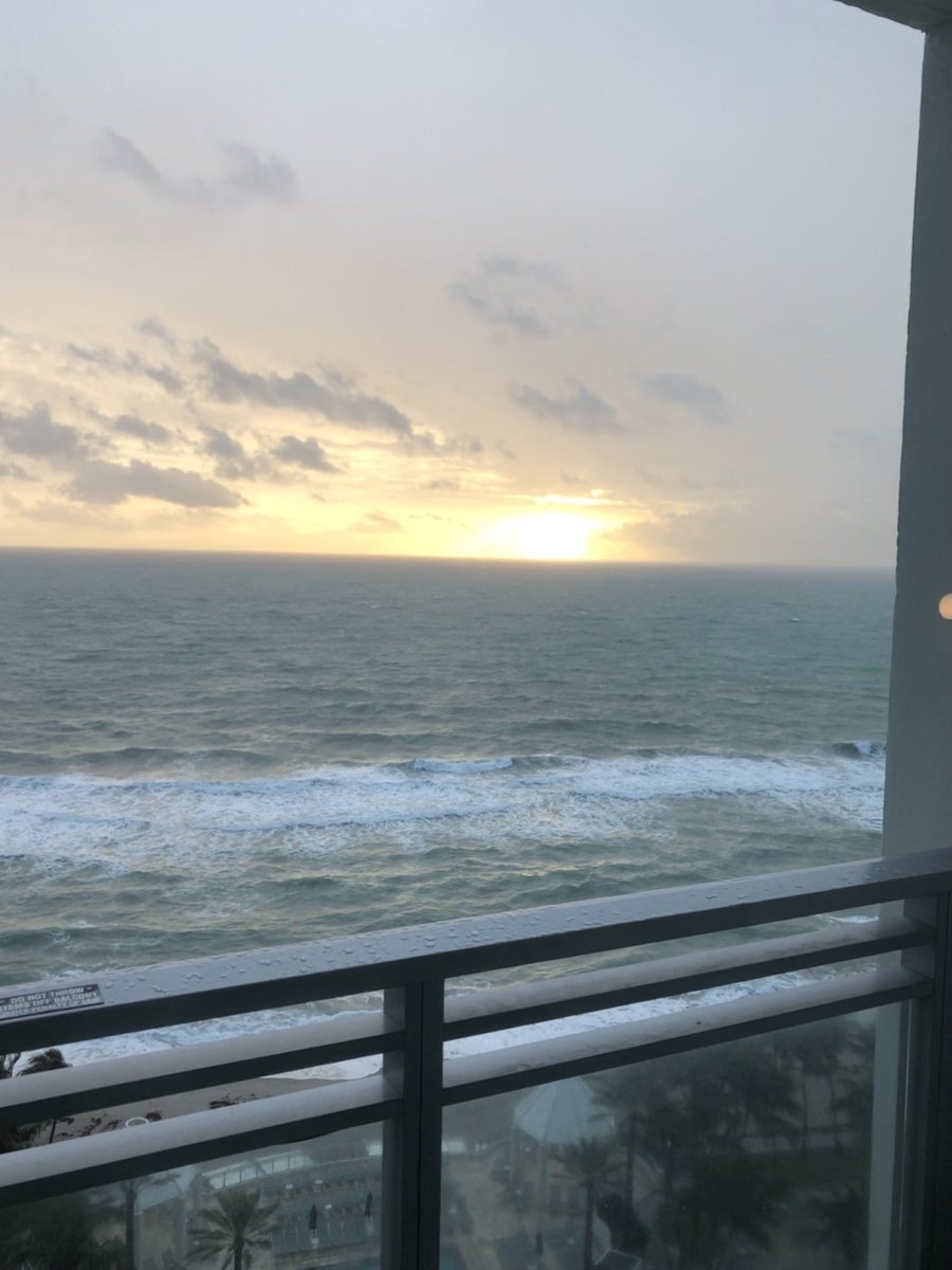 donnashort tweet media