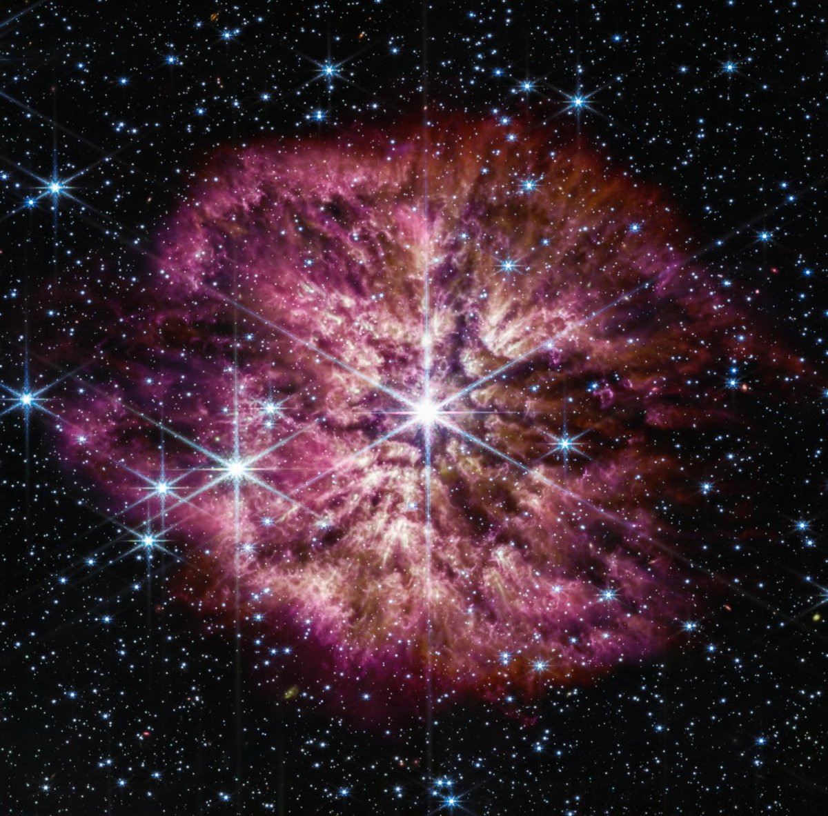 AsgardiaSpace's tweet photo. 🔭🌟 Spring has arrived, even in the cosmos! Behold the latest image from the James Webb Telescope, showcasing a blooming Wolf-Rayet star 15,000 light-years away. This rare and fleeting phase resembles a cherry blossom!
#JamesWebbTelescope #WolfRayetStar #CosmicSpring https://t.co/ZRAXtiNMq2