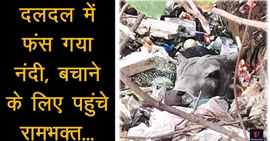 Vatanjaymedia's tweet photo. दलदल में फंस कर मरने वाला था नंदी, संघ प्रचारक ने जोखिम....
https://t.co/xrFeKUpup0
#RSS #help #bhinder https://t.co/cgVRbnMr32