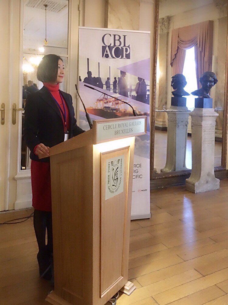 DrWEI_EU's tweet photo. #DiplomaticDays #CercleGaulois #CBLACP #Belgium #collaboration #multilateralismmatters @DrWEI_EU https://t.co/Pa9gmKHqn0