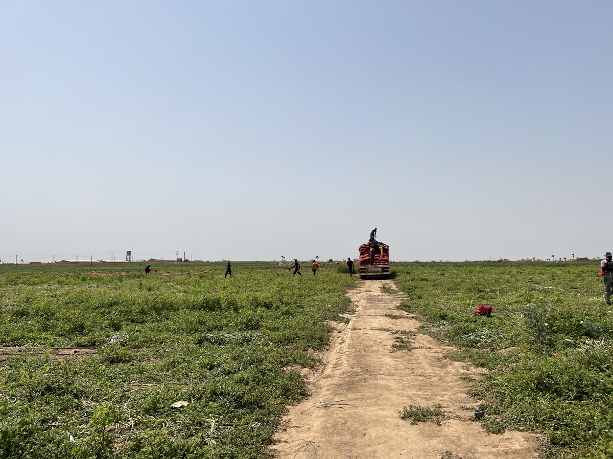 Lindert Moerdijk tweet media