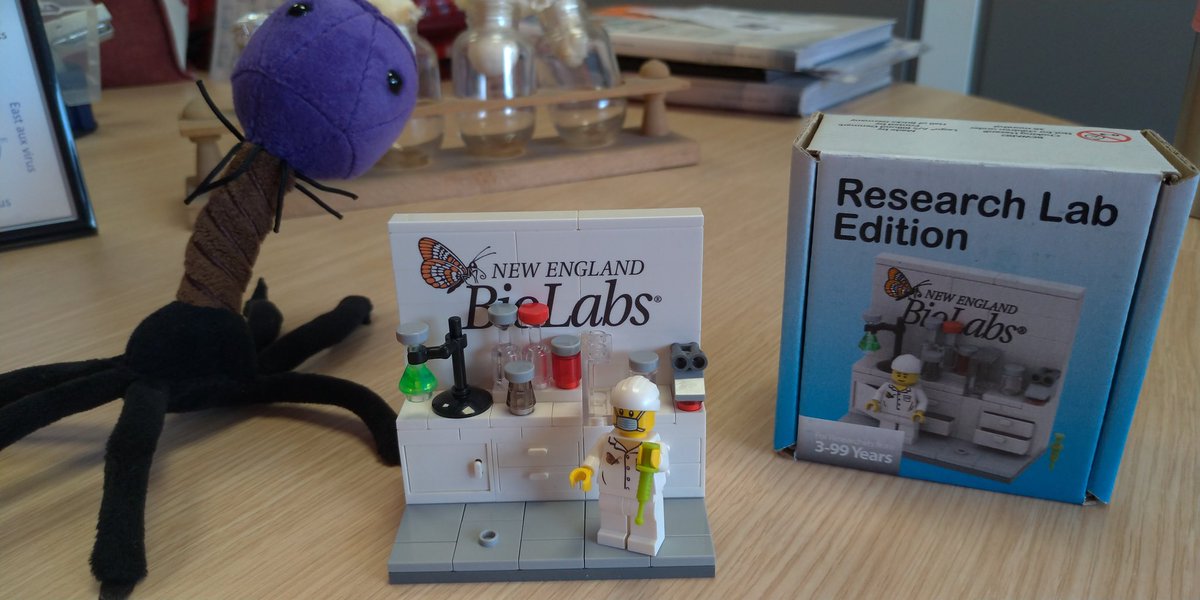 Thank you @NEBiolabs for the lab Lego set! All my lab mates are extremely jalouse now 🤩 🦠👩‍🔬🔬🧱
