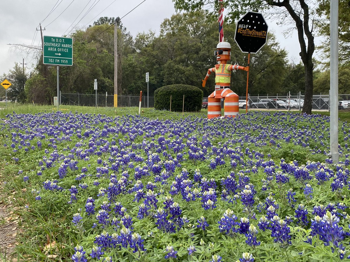 TxDOTHouston tweet media