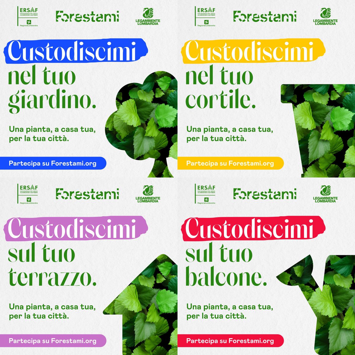 🌿 Inveruno / Ambiente - Per il progetto 'Custodiscimi' bisogna pre-iscriversi online e ritirare la pianta da custodire sabato 25 marzo nel cortile del Torchio: "non perdete un’occasione di cittadinanza attiva!" #custodiscimi #piante #ambiente logosnews.it/node/87465