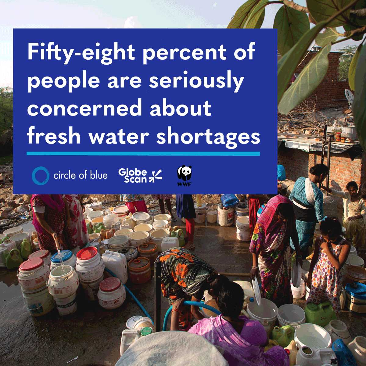 GlobeScan's tweet photo. 58% of people are seriously concerned about fresh water shortages, according to new @GlobeScan @circleofblue @WWFLeadWater research, published ahead of this week's #UNWaterConference.

Read our press release: https://t.co/SdSwHQwz3O https://t.co/07vEXqV3YE