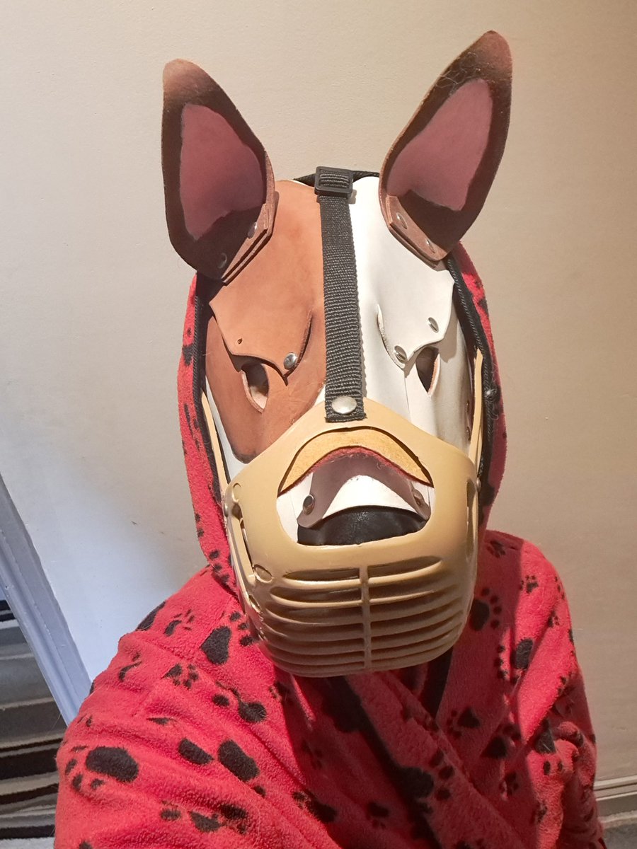 PupGremlin's tweet photo. 🤐🥚🐶🐾
@RamShackleGear-pup #Pup #FemalePup #PupHood #BulliePup #BullTerrier #BitchPup #PupPlay #Muzzle #Muzzled #MuzzledPup #MuzzledBitch https://t.co/A4pBlditKS