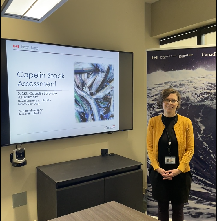 DFO_NL's tweet photo. Today, #DFOScience delivered a technical briefing to stakeholders and media on the findings presented in this year’s Capelin stock assessment. Here are the key takeaways: https://t.co/mDxtH06zXa