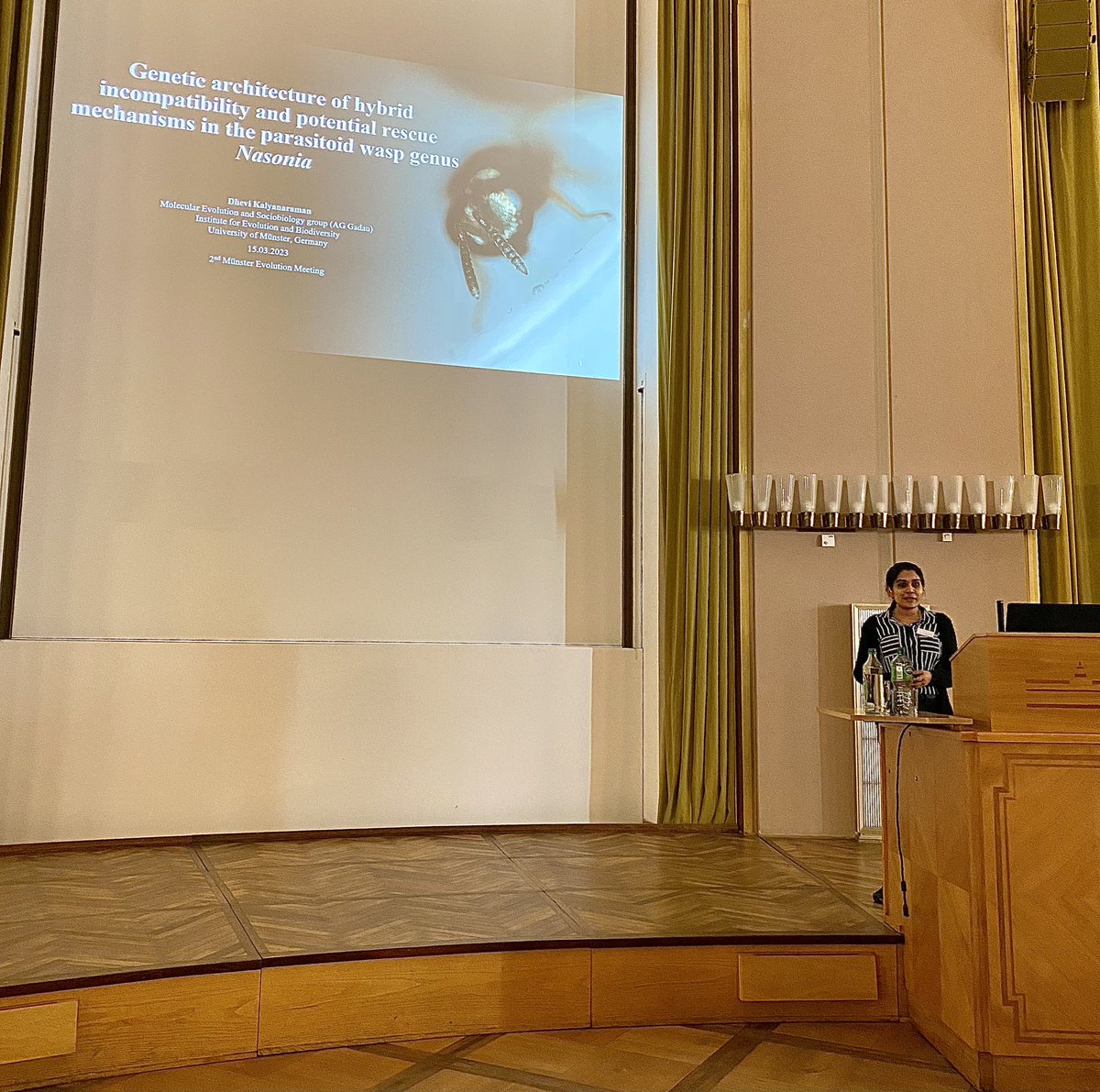 Münster Evolution Meeting tweet media