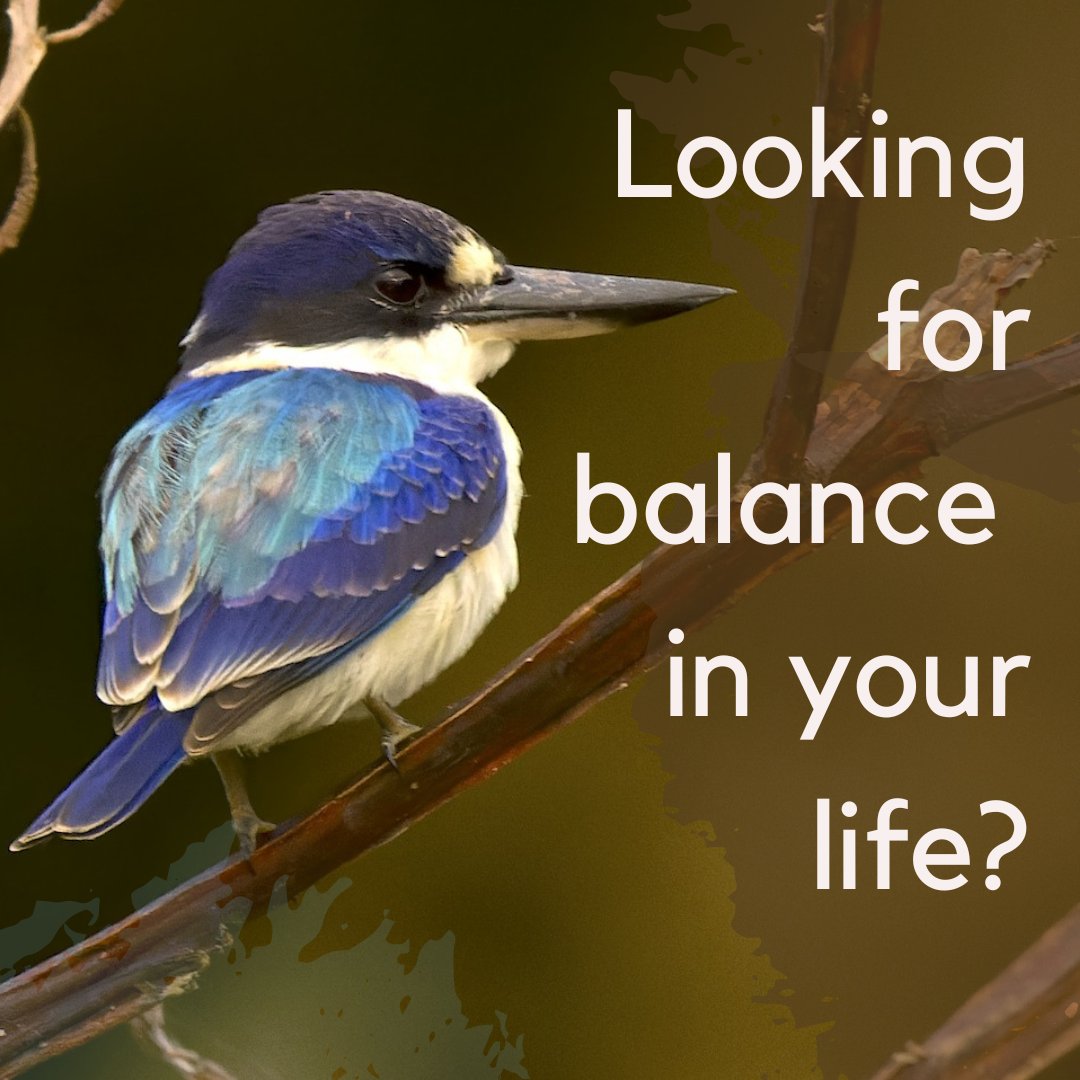 "Looking for balance in your life?"

A good place to start is by balancing your breath. 
Inhale through your nose to the count of 5 and exhale through your nose to the count of 5. Slowly, for 5 minutes.

Feel your equilibrium return...

#breathe #calm  #selfcare