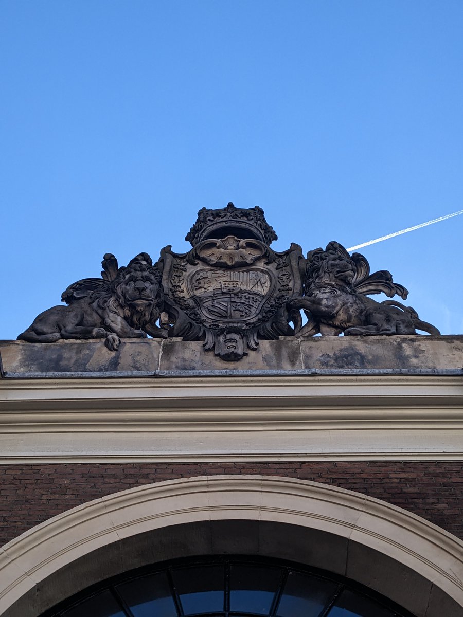 Alex Spaanderman tweet media