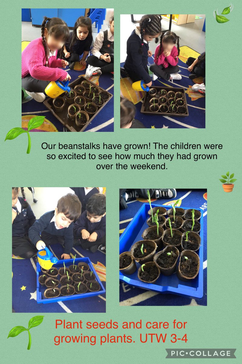 HHA-Nursery tweet media