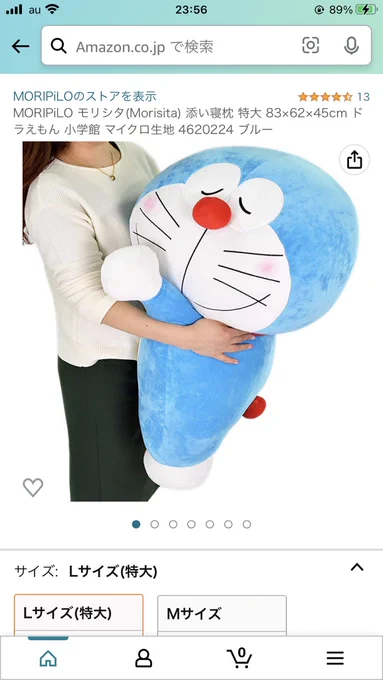 わああああああああ…(夢いっぱい) 