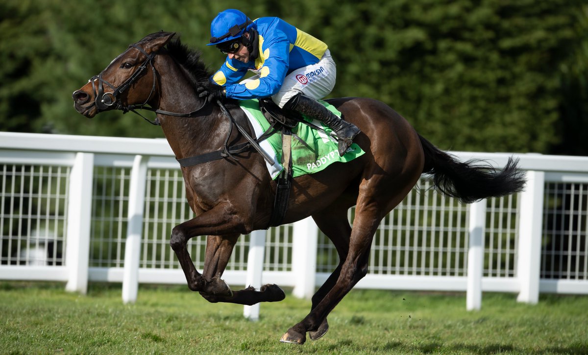 RacingPost's tweet photo. LANGER DAN WINS THE CORAL CUP! 🏆 https://t.co/WI0uQrO16t