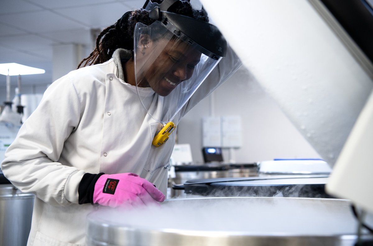 CUH_Careers's tweet photo. Cambridge Cell Therapy Laboratory at Addenbrookes is recruiting now to meet the increasing clinical demand for cell and gene therapies. See our production scientist in stem cell therapy vacancies
Band 5 https://t.co/oOJt6LXWRt 19.03.23‼️
Band 7 https://t.co/JYOIFEG08A 27.03.23⏱️ https://t.co/Lwymj3iwE2