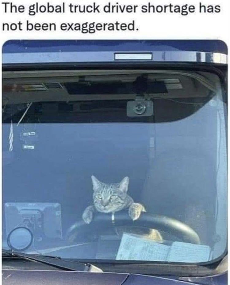 Diesel Exhaust Fluid🌎 (@ontdefsales) on Twitter photo 