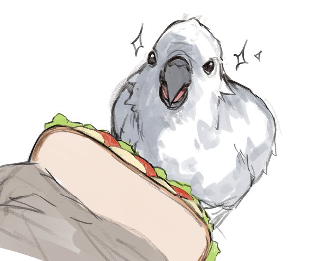「animal sandwich」 illustration images(Latest)