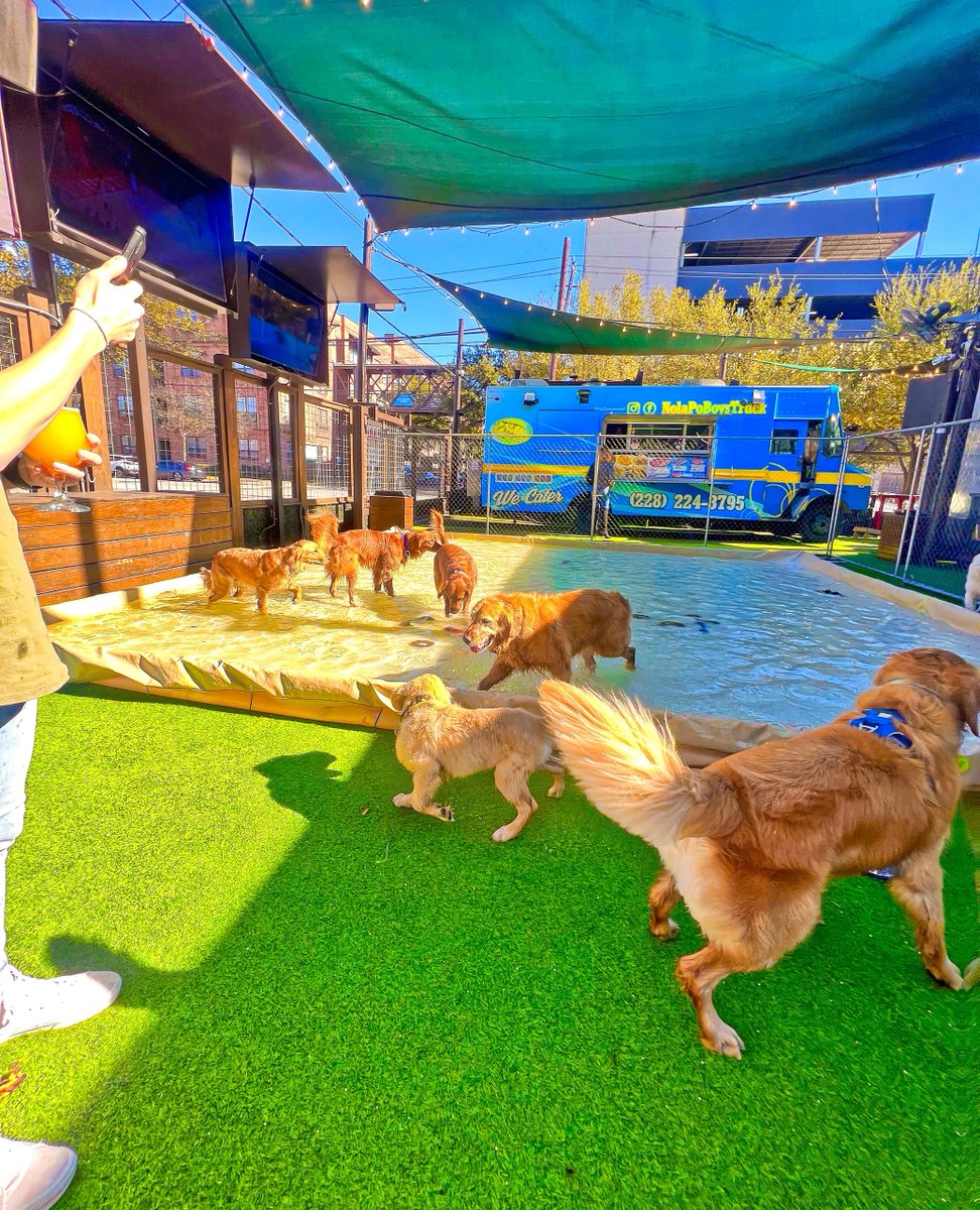 Dog socials are our favorite! ❤️ Throwback to our Golden Retriever social the other month! Who's excited for our Great Dane Social THIS SUNDAY?! 🐾 If you know someone with a Great Dane, tag 'em in this post and invite them to our upcoming pawty! 🥳 The fun starts at 2 pm! 🦴