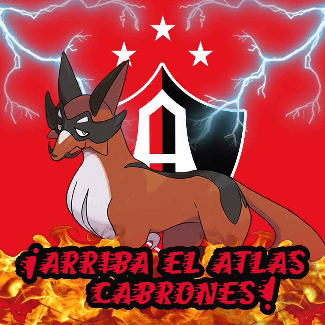 ¡Buen día, Rojinegros! 🦊

Hoy es quincena y ganó La Academia ❤️🖤

¿Qué más se puede pedir? 🤩

#TodosJuntos | #SomosMásRojinegros