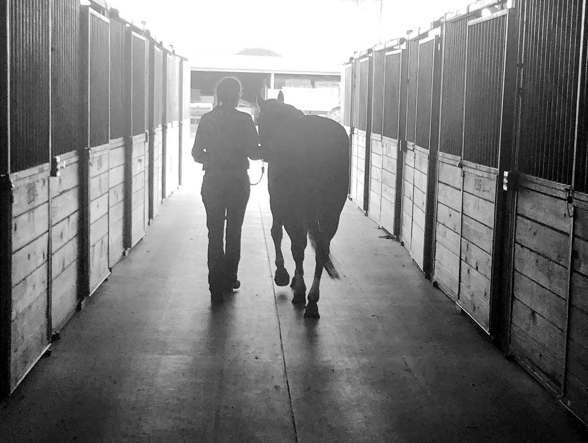 GatorGal0715's tweet photo. Southeast Regionals in Perry, Georgia this past weekend was a success for Red and I.  We didn’t get the $$ but we earned 4th place out of 7 riders in our class🤠 https://t.co/cwBnTHWnw9