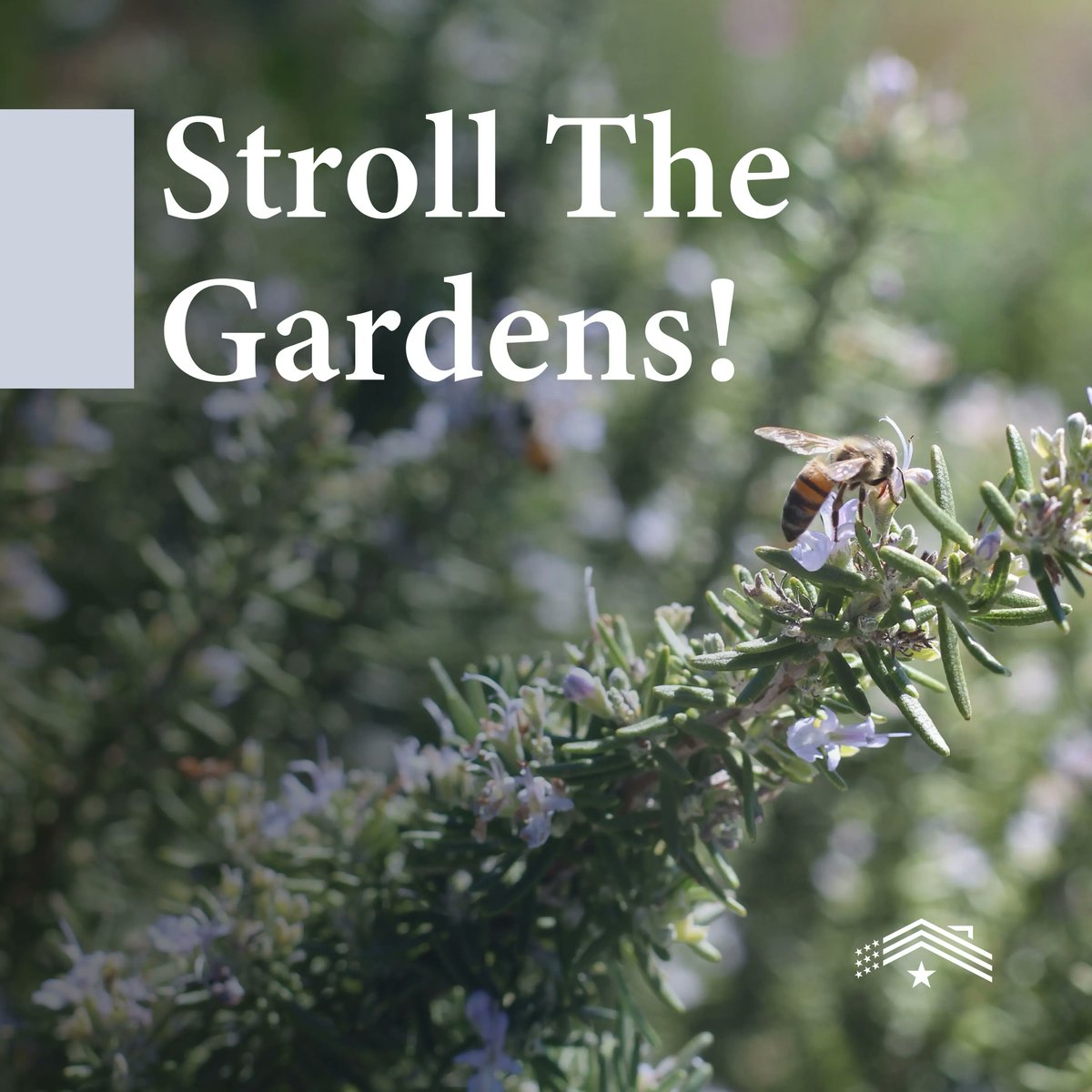 HomefrontUnited's tweet photo. What better way to celebrate spring than at the San Antonio Botanical Gardens?! They even offer military discounts of $2 off with a valid ID. Learn of other San Antonio activities that are military friendly here 👉 https://t.co/NTIvgEbIwe https://t.co/GCih3eioxq