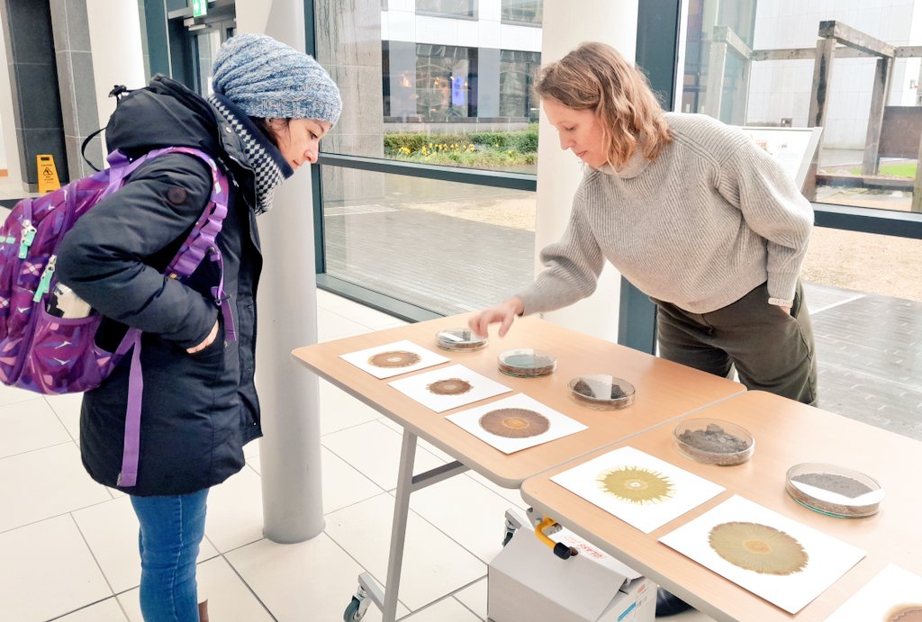 UCD Earth Institute on Twitter "Artist eileen_hutton showing off soil