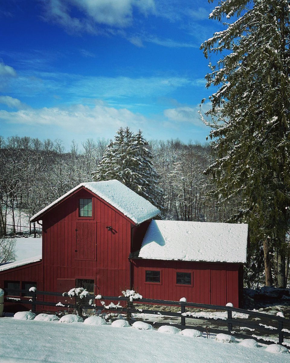 What a beautiful day in the neighborhood! #chickencoop