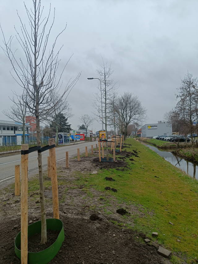 gem_teylingen's tweet photo. Heb je het al gezien? 👀 We hebben samen met AkzoNobel Sassenheim de bermen langs de Rijksstraatweg groener en veiliger gemaakt! 🌳 Lees hier wat we gedaan hebben 👉 https://t.co/jusDJBbg4x #gemeenteteylingen https://t.co/9xNpN1ZnR6