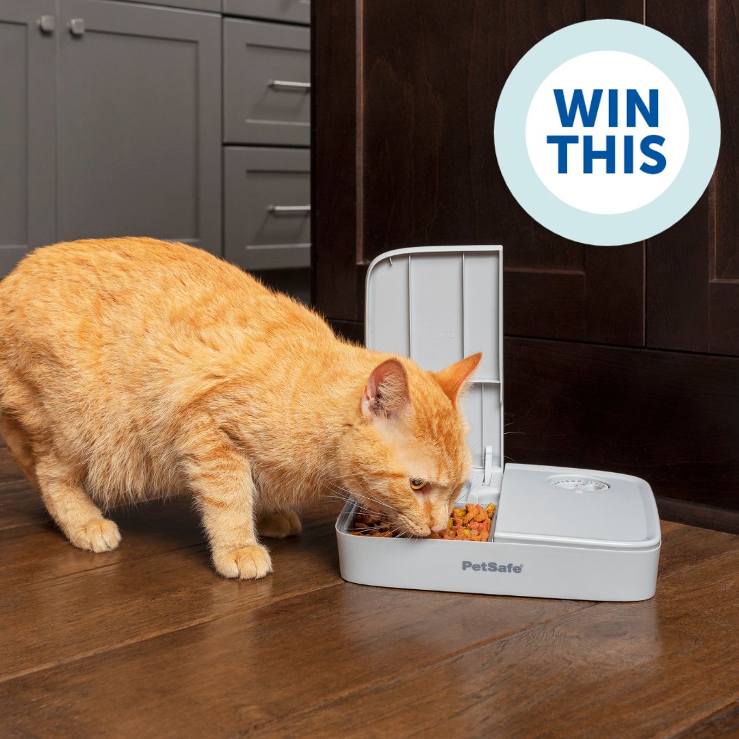 Giveaway 🐾 We are giving you the chance to win the Automatic 2 Meal Pet Feeder.
To enter: retweet, comment and follow @PetSafeUK