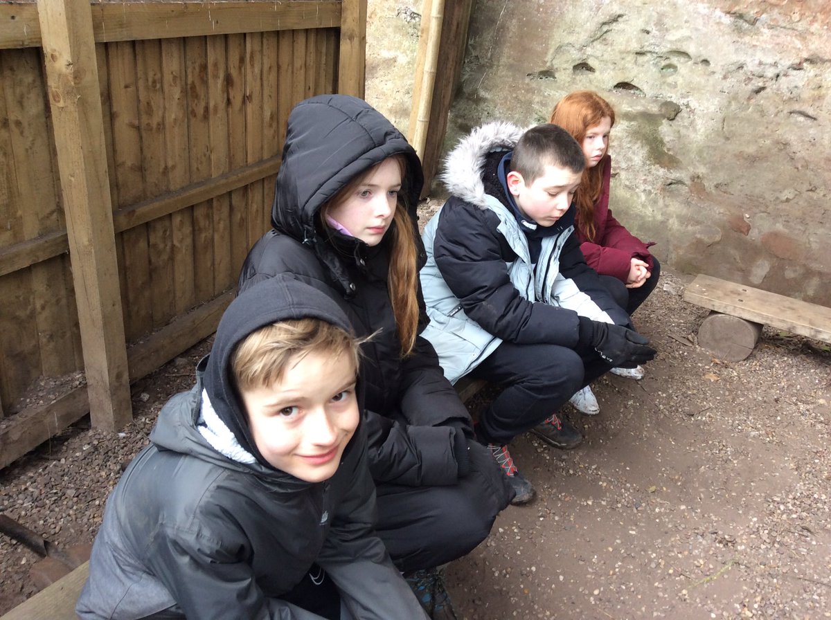 SJVupper tweet media