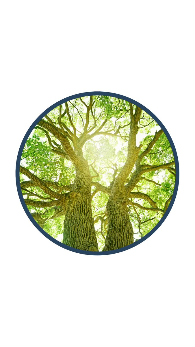 ACFER01's tweet image. #dynaCERT #TSX: $DYA + Cipher Neutron sign MOU w/ Safe Energy &amp;amp; Astec in India, Europe &amp;amp; Middle East. #OTCQX: $DYFSF ~▲6.6%. Global #greenhydrogen mkt size exp. @ ~US$ 89.18bn by 2030E. #ACFInsight bit.ly/Hydrogen_Contr… @dynaCERT