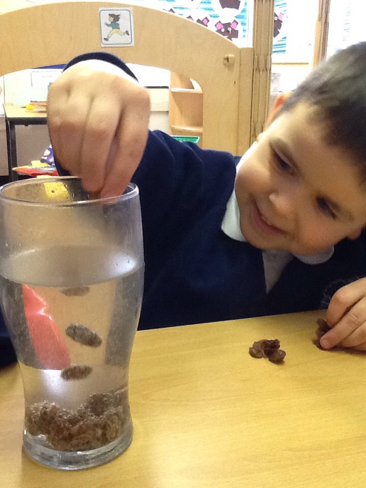 TheLancastersch's tweet photo. Nursery children have enjoyed Science week and so far we have planted cress, made skittles rainbows and watched dancing raisins!🧪😀 https://t.co/uZwdRRjtT3