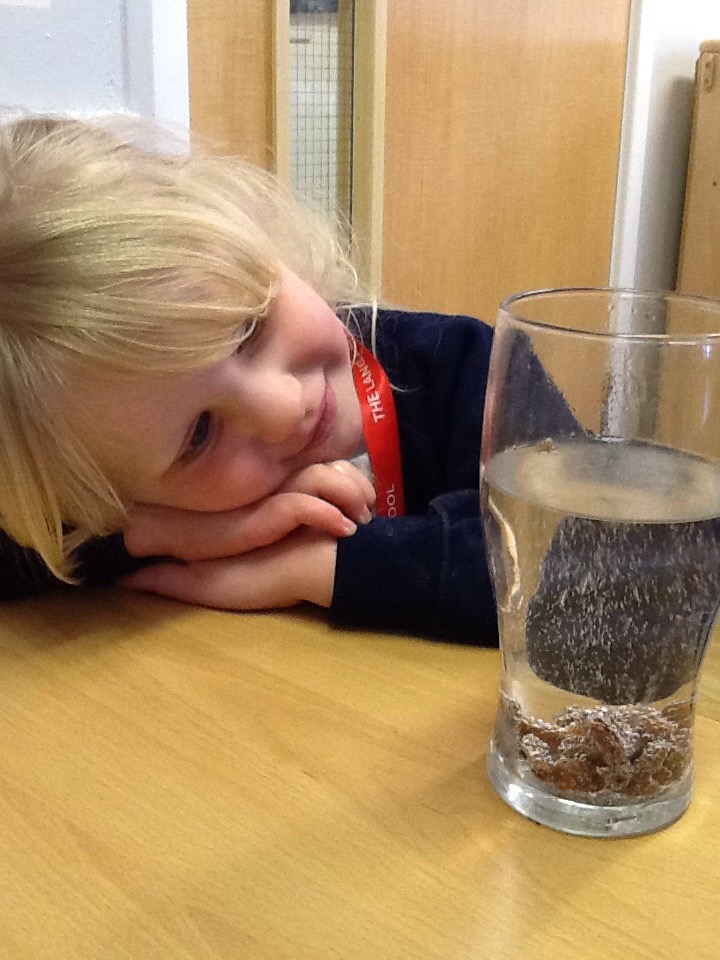 TheLancastersch's tweet photo. Nursery children have enjoyed Science week and so far we have planted cress, made skittles rainbows and watched dancing raisins!🧪😀 https://t.co/uZwdRRjtT3