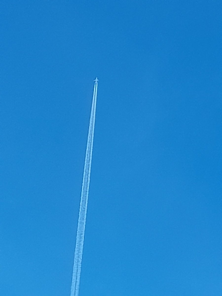 Con Murphy tweet media