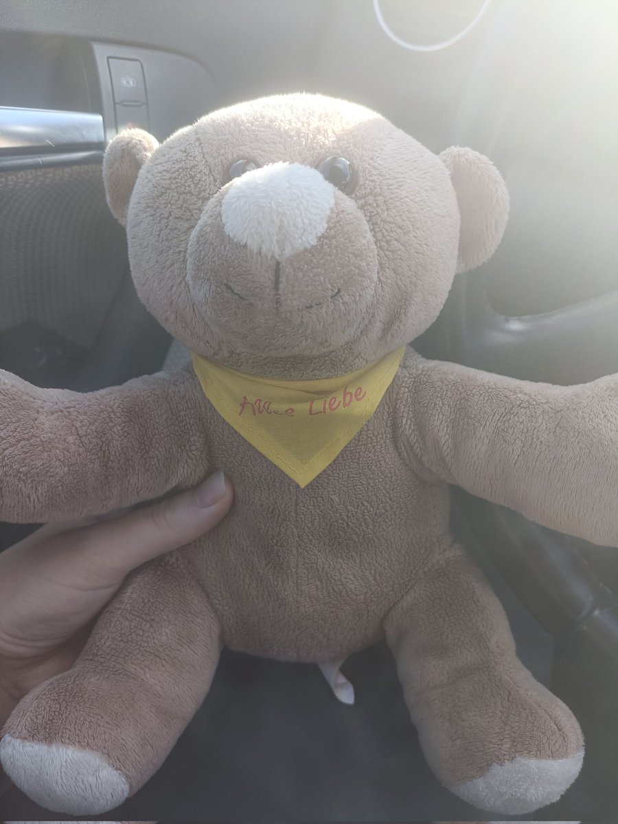 Mein 6-jähriger Neffe hat mir gerade seinen Teddy geschenkt. Wenn mich irgendetwas ärgert, soll ich ihn umarmen und dann tröstet er mich. 🥰