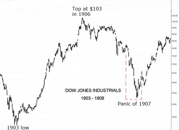 THE SHORT BEAR tweet media