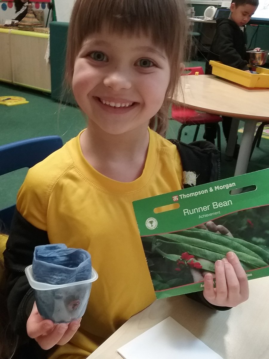 freeschnorwich's tweet photo. A big thank you to Richardsons of Norwich for their donation of runner bean seeds which children in EYFS have been enthusiastically planting! Here's hoping for a good crop!! https://t.co/7j2pEjLNlZ