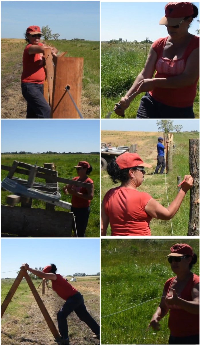 15 de marzo, día del alambrador