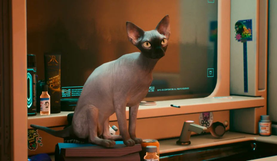 CatsInVideogame's tweet photo. Cyberpunk 2077 - Nibbles

#cats #catsinvideogames #videogames #Cyberpunk2077 https://t.co/wVTWdUE7eD