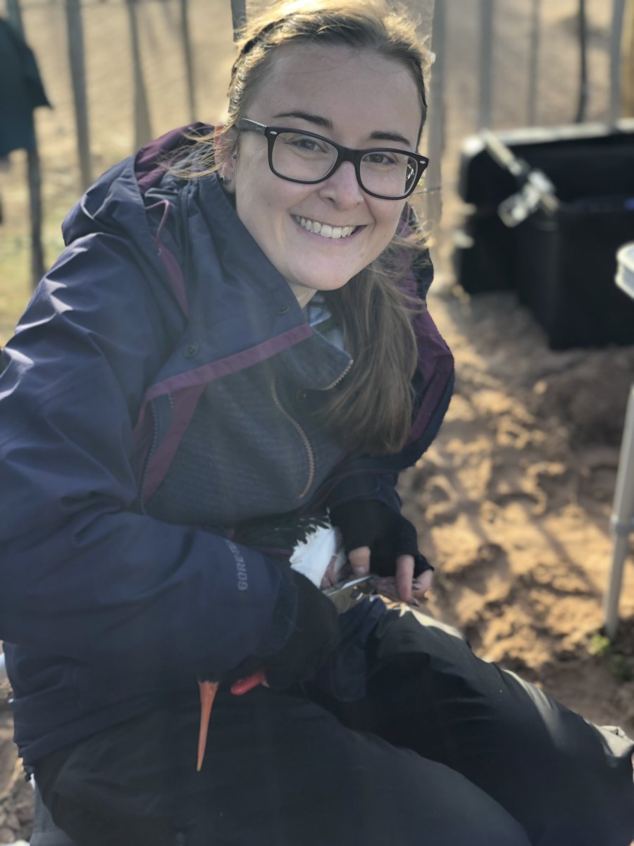 Dr Lucy A Hawkes (@drlucyhawkes) on Twitter photo Everyone! I’ve gone into academic labour! This amazing phd student <a href="/joanne_morten/">Dr Jo Morten</a> went into a room a few hours ago, and a Dr will emerge soon! Everyone! I’ve gone into academic labour! This amazing phd student <a href="/joanne_morten/">Dr Jo Morten</a> went into a room a few hours ago, and a Dr will emerge soon!