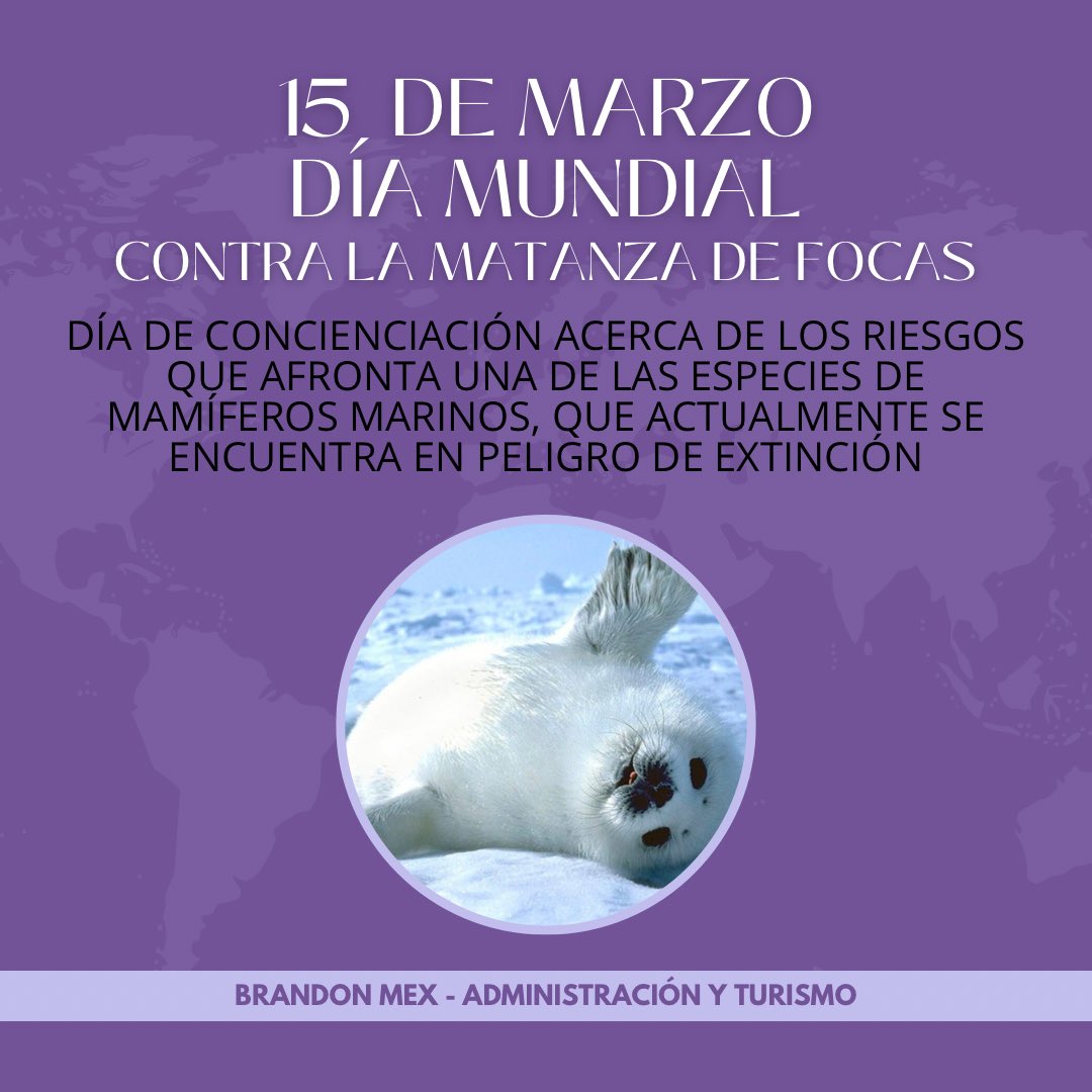 Brandon Mex Martinez tweet media