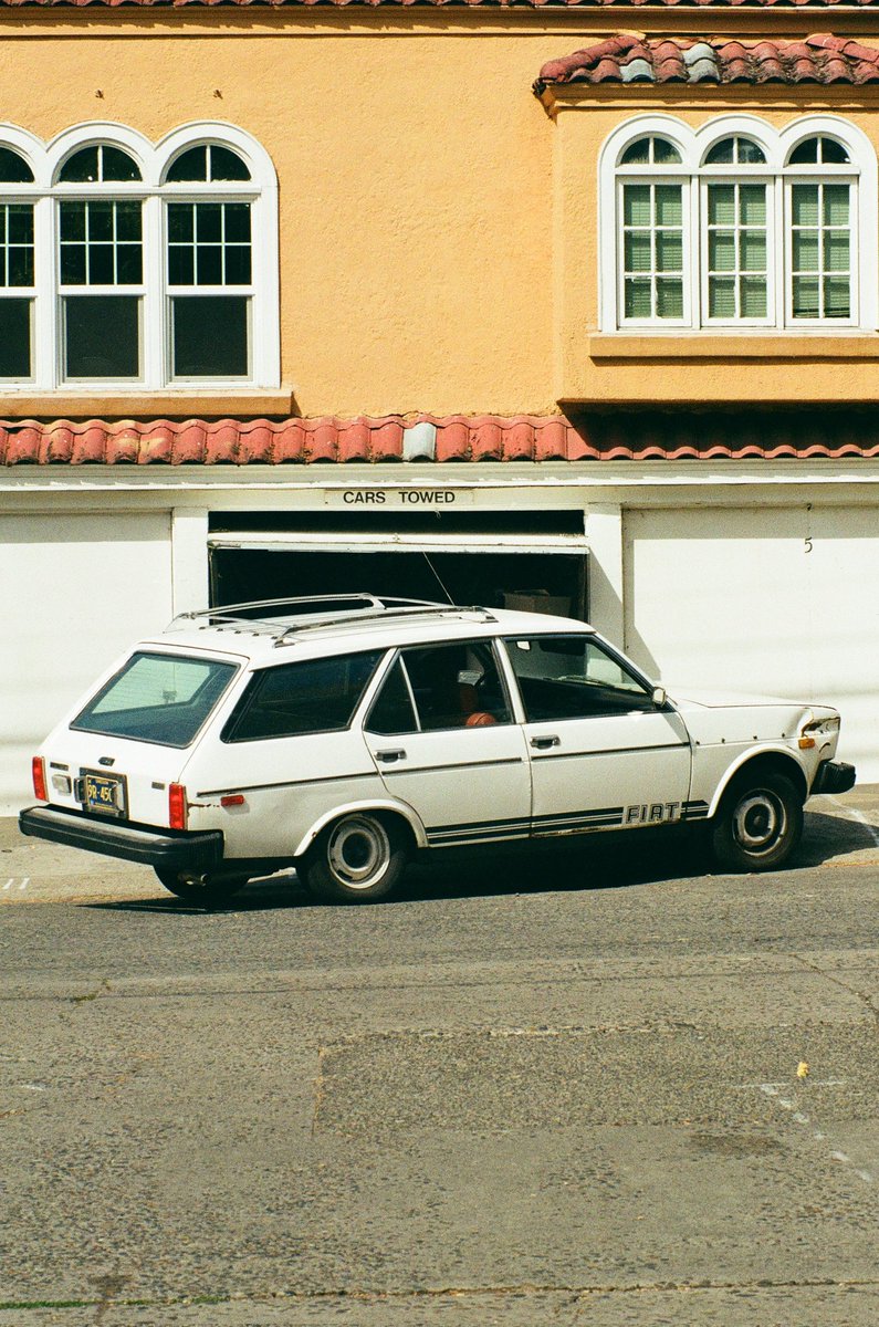 Gm to everyone that sees this.