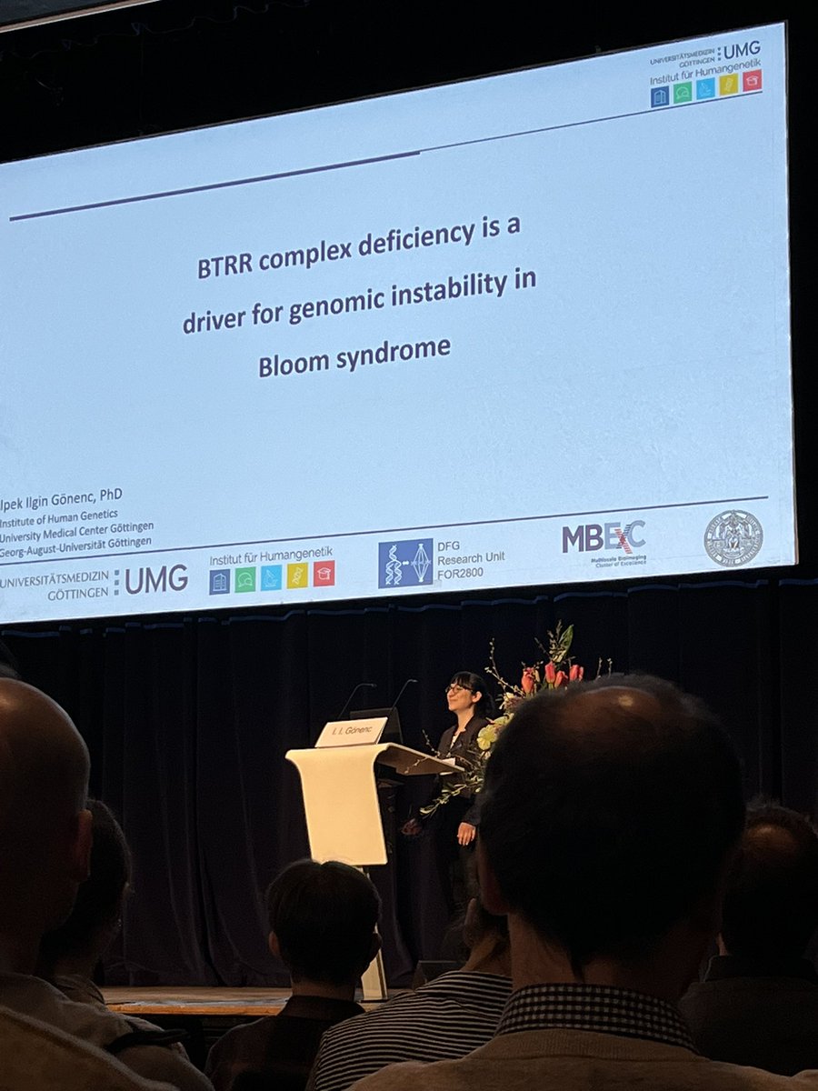 Our very own Ilgin talks about BTRR complex deficiency as a driver for genomic instability in Bloom syndrome #gfh2023 @yourUMG